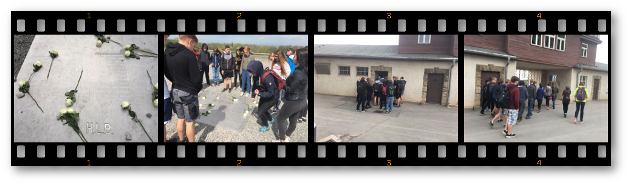 Bild "Willkommen:2018-04-25buchenwald.png"