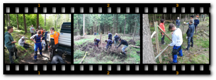Bild "Willkommen:2019-05-23waldeinsatz9a.png"