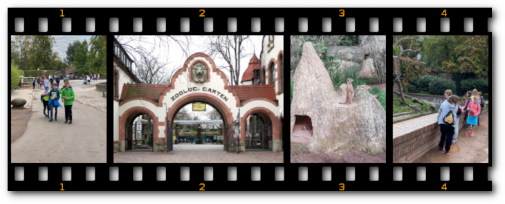 Bild "Willkommen:2021-10-06zoo.png"