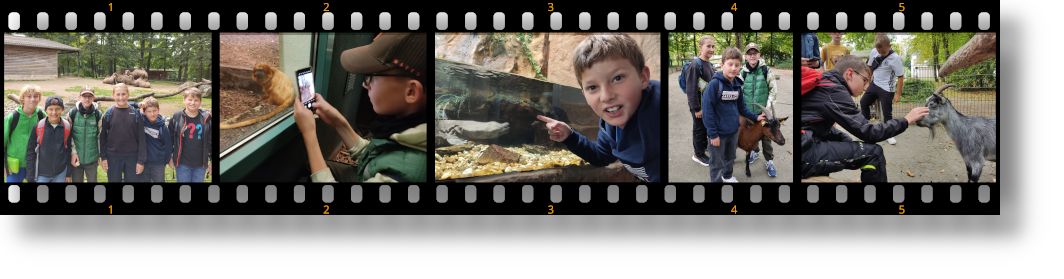 Bild "Willkommen:2025-09-17zoo.png"